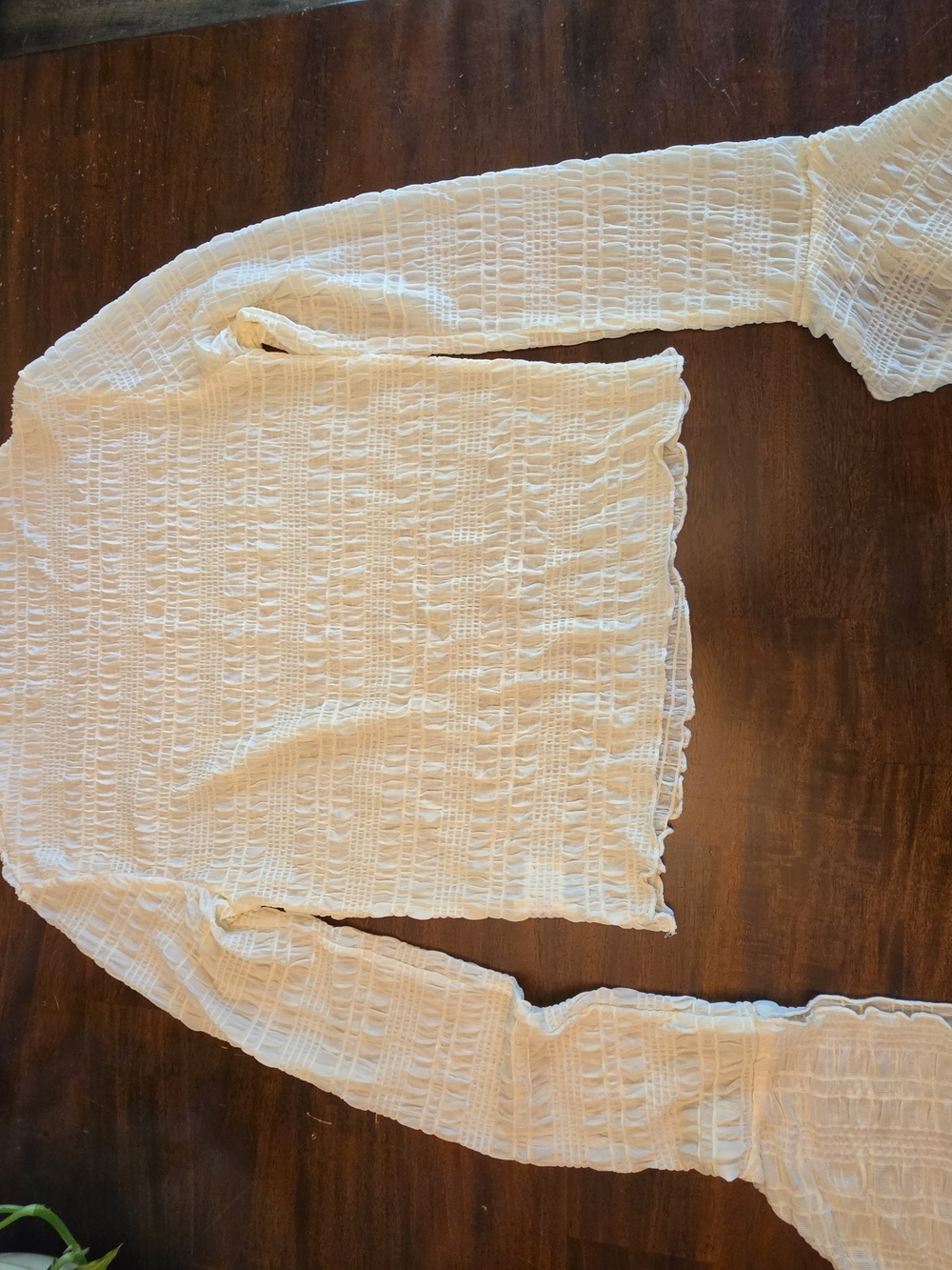 Honey Mango Cream/ Light Yellow Crinkle Textured Mock Neck Top Smocked Sheer Lon